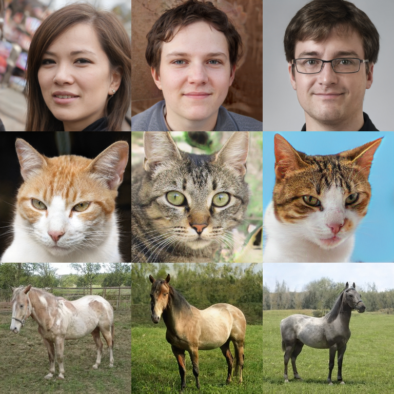 Images generated by deep generative models. Obtained from (top to bottom); thispersondoesnotexist.com (created by Phillip Wang); thiscatdoesnotexist.com; thishorsedoesnotexist.com.